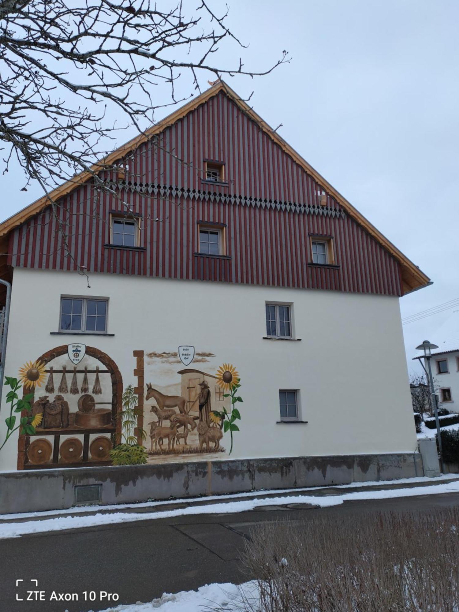 Alte Oelmuehle, Spaeter Schaefershaus دوناوشينغن المظهر الخارجي الصورة